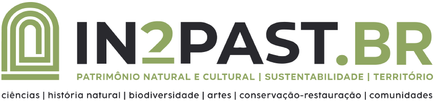 IN2PAST.BR
